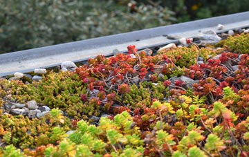 the cost of Airidh A Bhruaich green roof installation