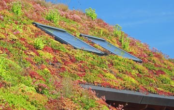 Airidh A Bhruaich living roof systems